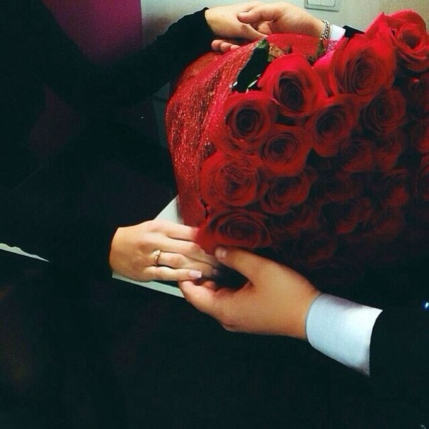    ,     ,    .   . ... - 5