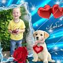���� �������, �����������, 71 ��� - ��������� 8 ������� 2015 � ������ ������ - ������ �����������
