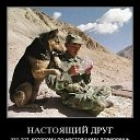 ���� Igor, �����-���������, 61 ��� - ��������� 5 ������ 2015 � ������ ������ ��������