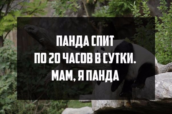     - 28  2015  23:21