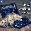 ���� ������, ������, 43 ���� - ��������� 2 ����� 2015