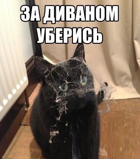 ������������ ���� - 5 ����� 2015 � 14:52