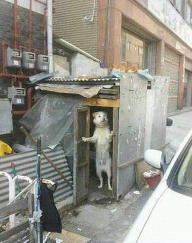 ,..!