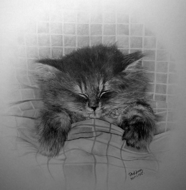 ,  .  Paul Lung - 6