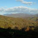 ���� �����, ������, 61 ��� - ��������� 21 ������� 2014 � ������ ���� ����������