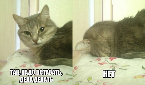  -  - 24  2014  07:17