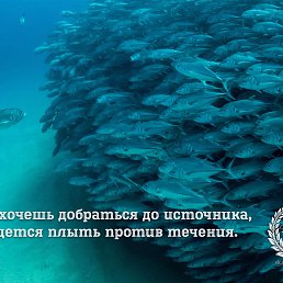 ���� ������, ������, 42 ���� - ��������� 25 ������� 2014