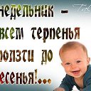 ���� �����, ���������, 62 ���� - ��������� 20 ������ 2015 � ������ ������ ��������