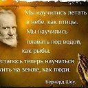 ���� Amigo!, �����-���������, 38 ��� - ��������� 8 ������ 2015 � ������ ���� ����������