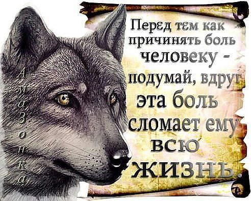   - 3  2015  21:15