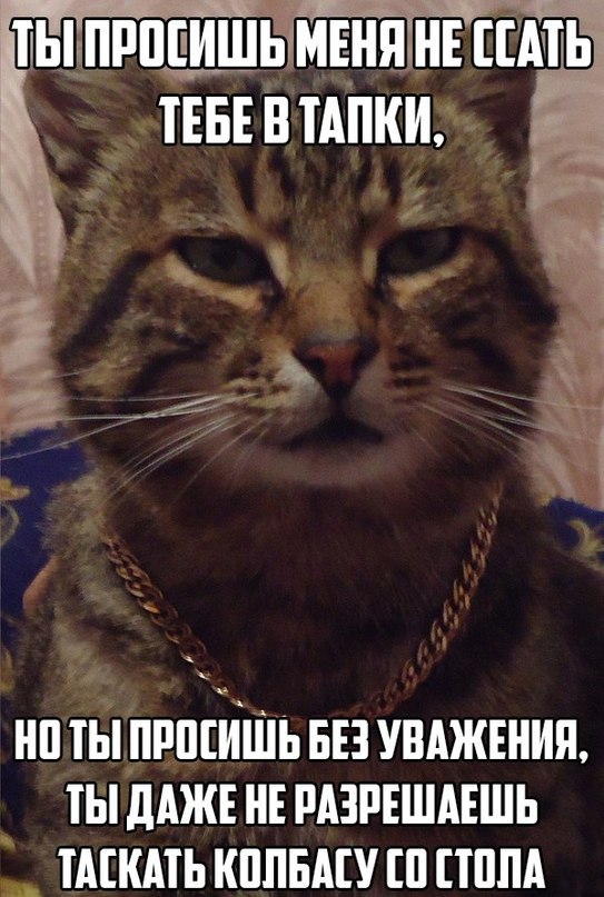     - 9  2015  23:20