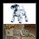 ���� ��������, ������, 33 ���� - ��������� 7 ������� 2015 � ������ ���������