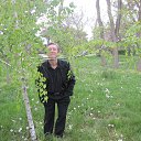 �����Ш����� �� ������� ����