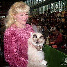 �������, ������, 60 ���