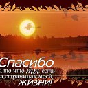 ���� ��������, ���������, 55 ��� - ��������� 16 ������� 2014 � ������ ���� ����������
