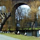 ���� Sveta, ���� - ��������� 7 ������ 2015 � ������ ������� 2015.����.�