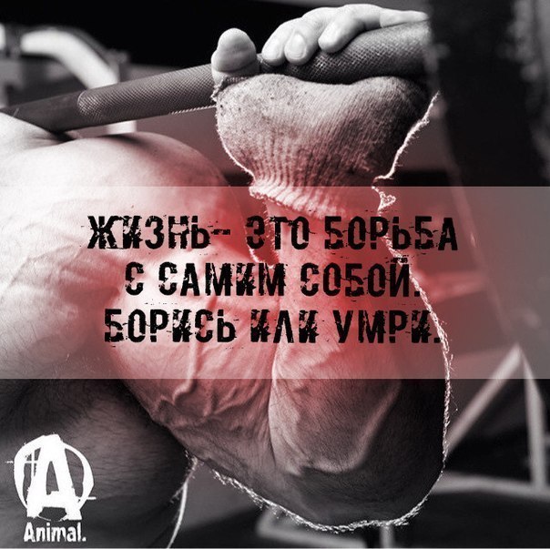 SportFeed - 28 ����� 2015 � 15:10