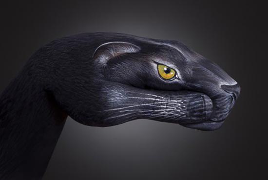 Рукозвери Гвидо Даниэле.Итальянский художник Гвидо Даниэле (Guido Daniele) — мастер ... - 6