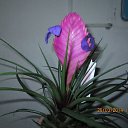 ���� ��������, ��������, 73 ���� - ��������� 26 ������� 2015 � ������ ��������-��������