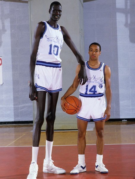           NBA.    231232 , ... - 2