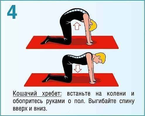        ,     . ... - 4