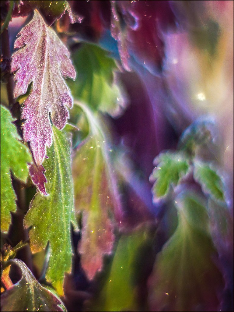   -    - 5  2015  01:21