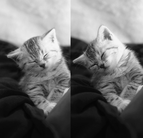  -  - 13  2015  13:25