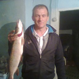 ���� ��������, ��������, 52 ���� - ��������� 2 ����� 2015