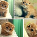 ���� Fadail, ������, 56 ��� - ��������� 9 ������ 2015