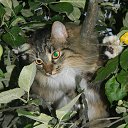 ���� �����, ������ - ��������� 7 ������ 2015 � ������ ������ ��������