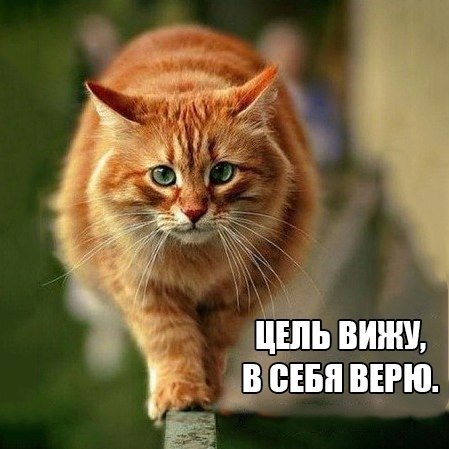       - 5  2015  23:31