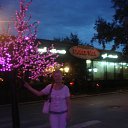 ���� �����, ���������, 68 ��� - ��������� 23 ������� 2014 � ������ ������ ��������