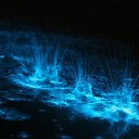 ���� ������, ���� - ��������� 7 ������ 2015 � ������ �����