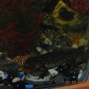 ���� �������, ����� - ��������� 27 ������� 2014 � ������ ������ ��������