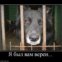 ���� �������, ������ - ��������� 15 ����� 2015 � ������ ��������������