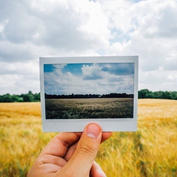       ?    Instax.   ...