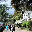  , , 60  -  13  2015      05.04.15.