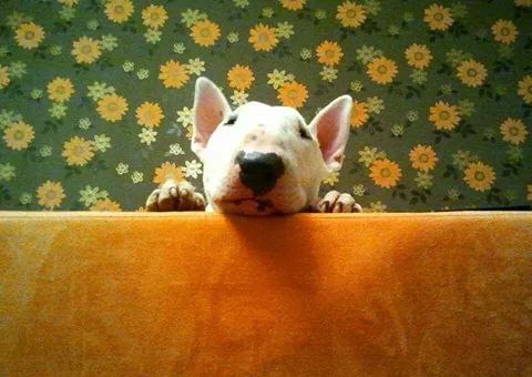 Утро оно такое утро. .