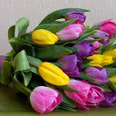  Z,  , 64  -  6  2015    