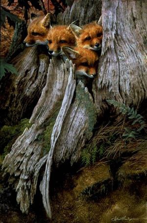 Art & Fun - 15  2015  17:11 - 6