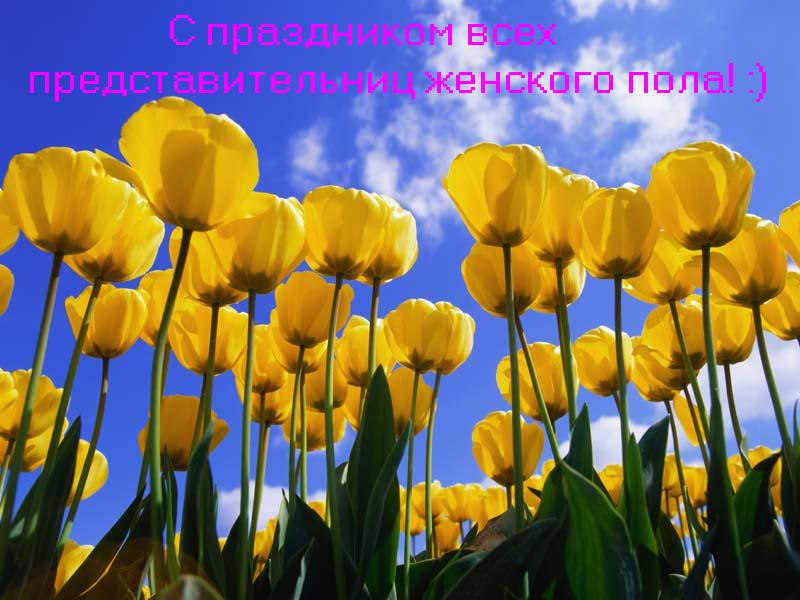 _ - 8  2015  00:24