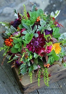 Благодарность - прекраснейший из цветков души.(Генри Уорд Бичер)