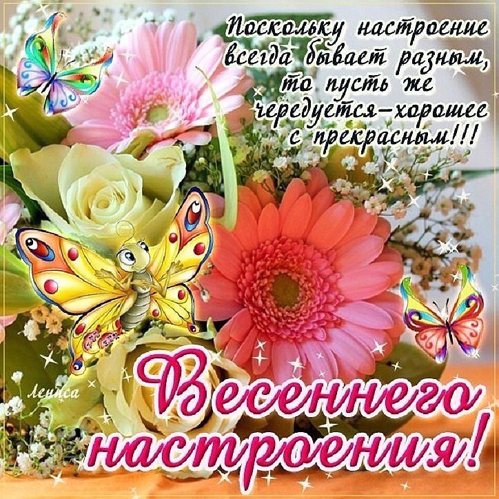   - 5  2015  20:54 - 2