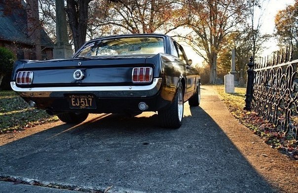 Ford Mustang - 5