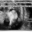  Vi,  -  1  2015    