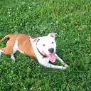 ���� �������, ����� �������, 51 ��� - ��������� 13 ����� 2015 � ������ ������ ��������