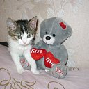  , , 51  -  14  2014    .