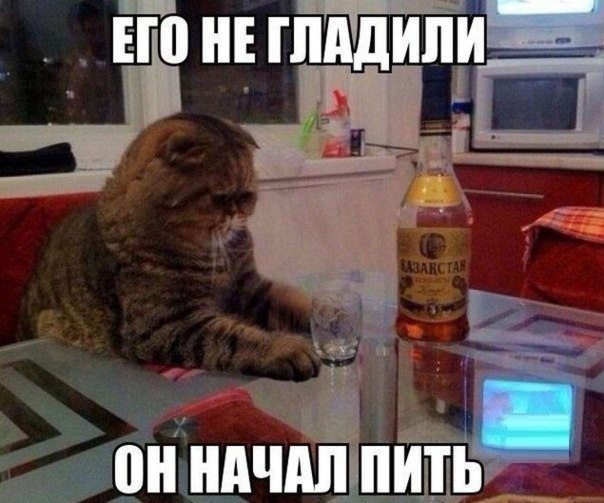 /zev/null - 13  2015  23:49
