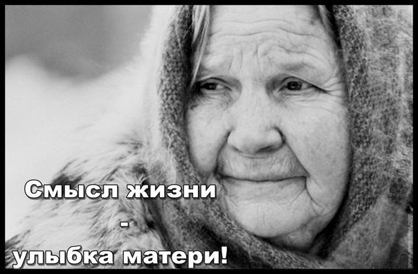 LIFE -  - 11  2015  06:28