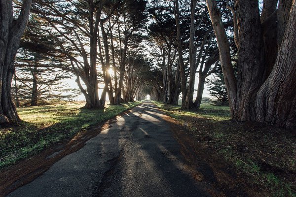 Bay Area, California